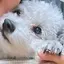 Hiromiのプロフィール画像