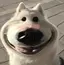 このプロフィール画像