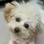 nanaeのプロフィール画像