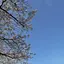 のぞみのプロフィール画像