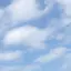 Uのプロフィール画像