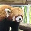 ゆかのプロフィール画像