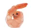 エビアザラシのプロフィール画像