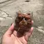 のんちゃんのプロフィール画像