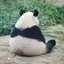 さのプロフィール画像