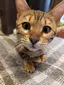 陽子のプロフィール画像