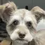 ココのプロフィール画像