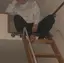 イケタのプロフィール画像