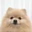 みおのプロフィール画像