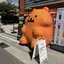 せりのプロフィール画像