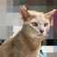 みすずのプロフィール画像