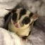 Mikaのプロフィール画像