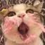 🍙のプロフィール画像