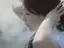 Aのプロフィール画像