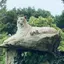 ナカちゃんのプロフィール画像