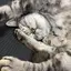 ハルハルのプロフィール画像