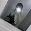 れのプロフィール画像