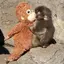 JCのプロフィール画像