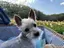 えりのプロフィール画像