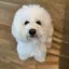 わたるのプロフィール画像