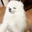 Jのプロフィール画像