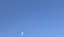 Sのプロフィール画像