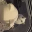 ずみこのプロフィール画像