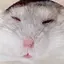 えみのプロフィール画像