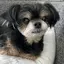 サヤのプロフィール画像