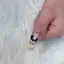ぱぴこのプロフィール画像
