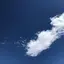 ゆみのプロフィール画像