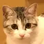 みきのプロフィール画像