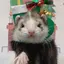 なみのプロフィール画像