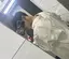 のいのプロフィール画像