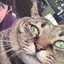 せいなのプロフィール画像