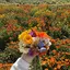 ななのプロフィール画像