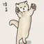 otoのプロフィール画像