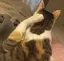 ぴーのプロフィール画像