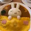 はむのプロフィール画像