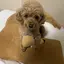 キィちゃんのプロフィール画像