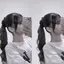 りちゃんのプロフィール画像