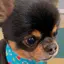 てんのプロフィール画像