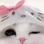 もこのプロフィール画像