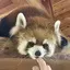 TAKUのプロフィール画像