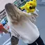 kiraのプロフィール画像