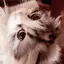 ♪のプロフィール画像