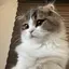 ゆみこのプロフィール画像