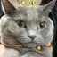 erikaのプロフィール画像