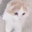 なみのプロフィール画像