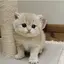 rのプロフィール画像